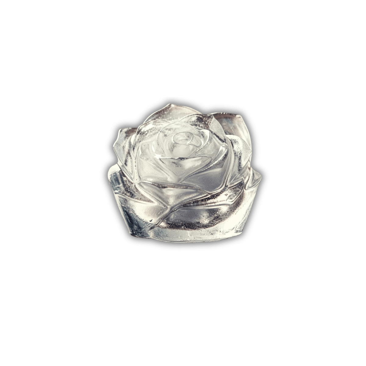 Ice Queen Rose