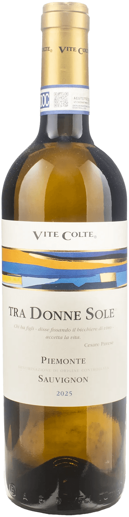 Vite Colte Sauvignon Blanc Tra Donne Sole